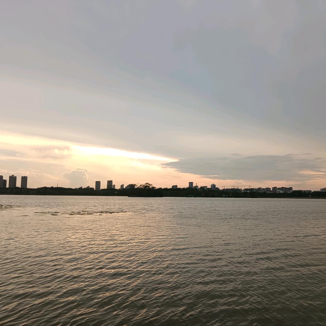 小张要努力🌞