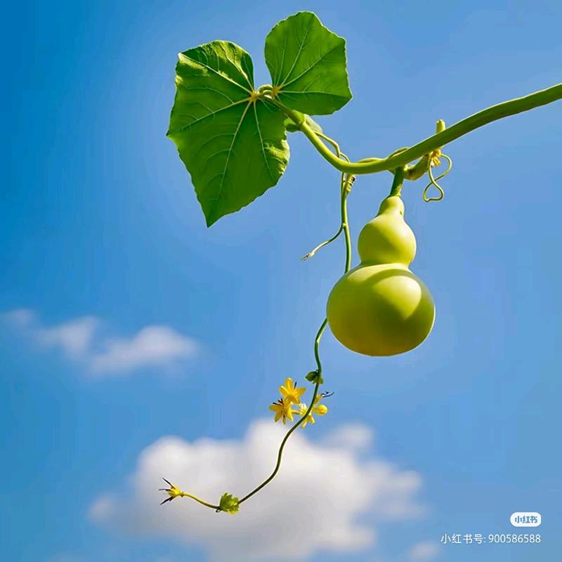 欺我者替我挡栽