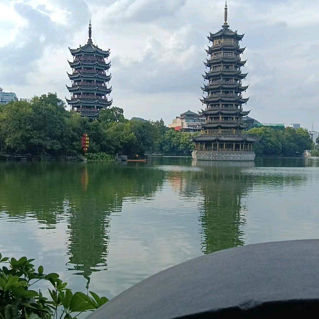 🌳🎋好事发生源源不断