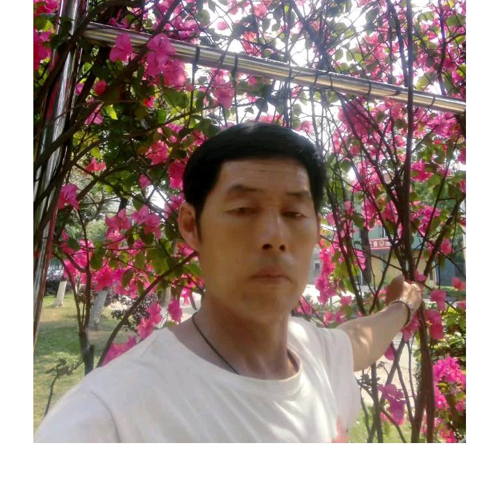 段