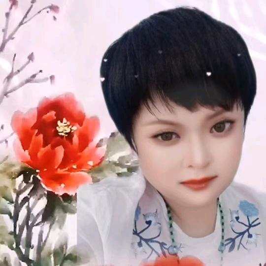 婷宝