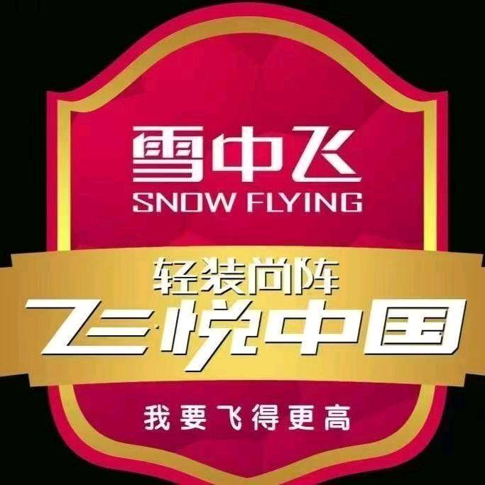 购物商城雪中飞钟香朵