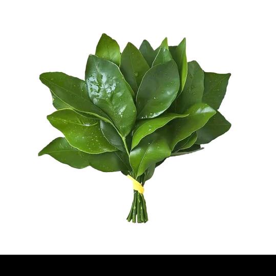 一杯冰美式
