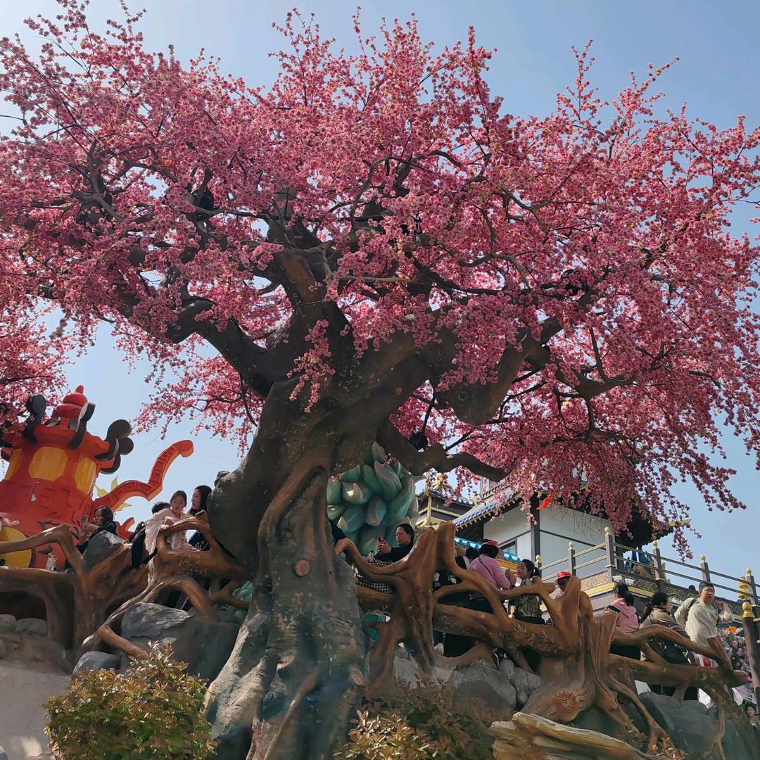 🚬ཀོ输在ོ认真 ꦿ҉࿐