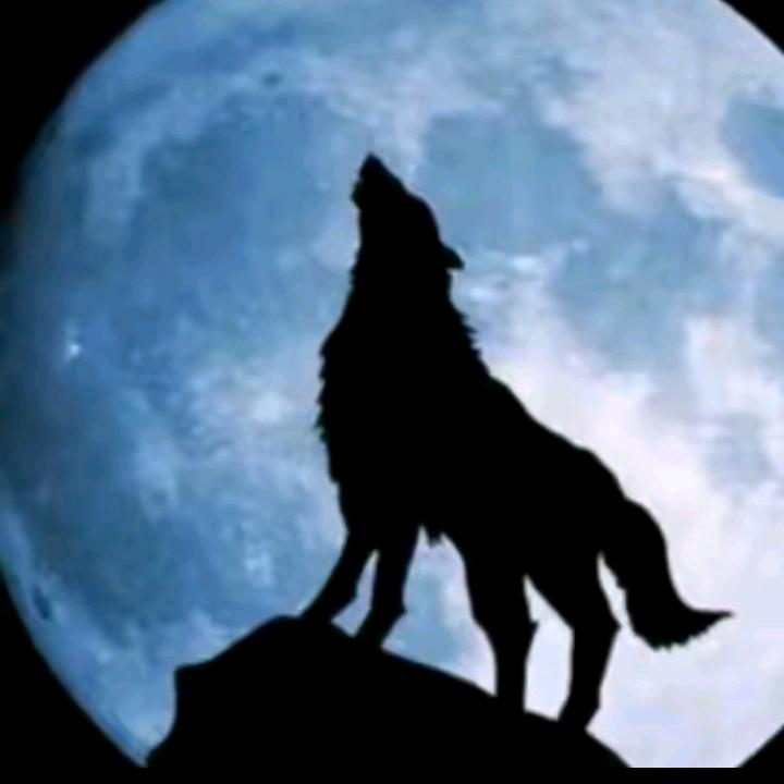 狼少哥电台心想事成