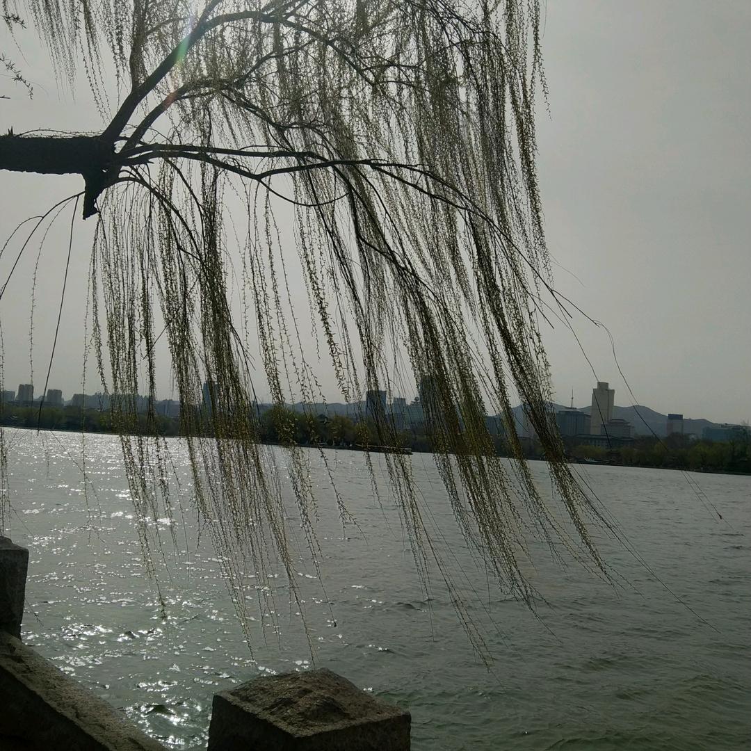 陈