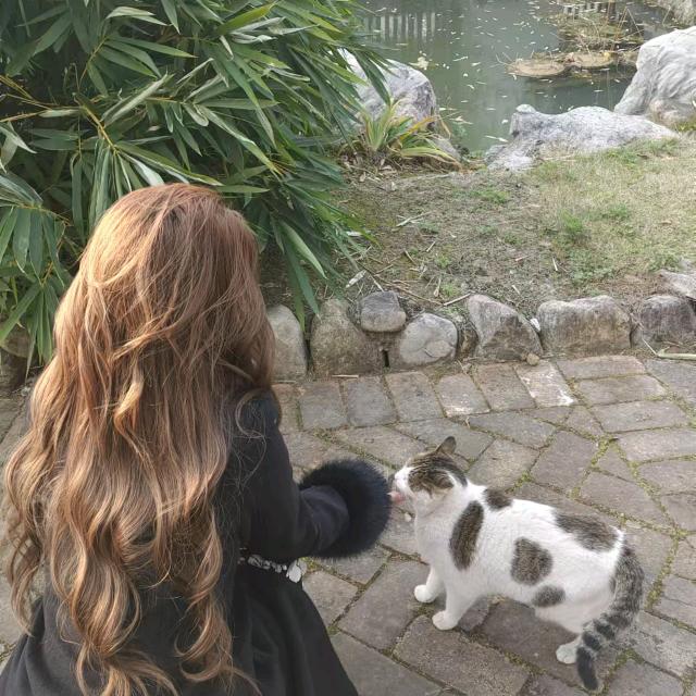 五彩缤纷的腿毛