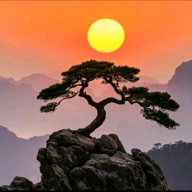 莲山湾