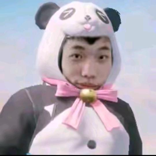 鲨鱼哟