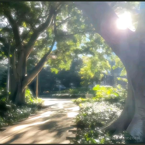 平安