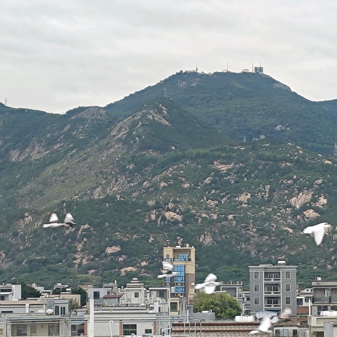 《坚持到底》