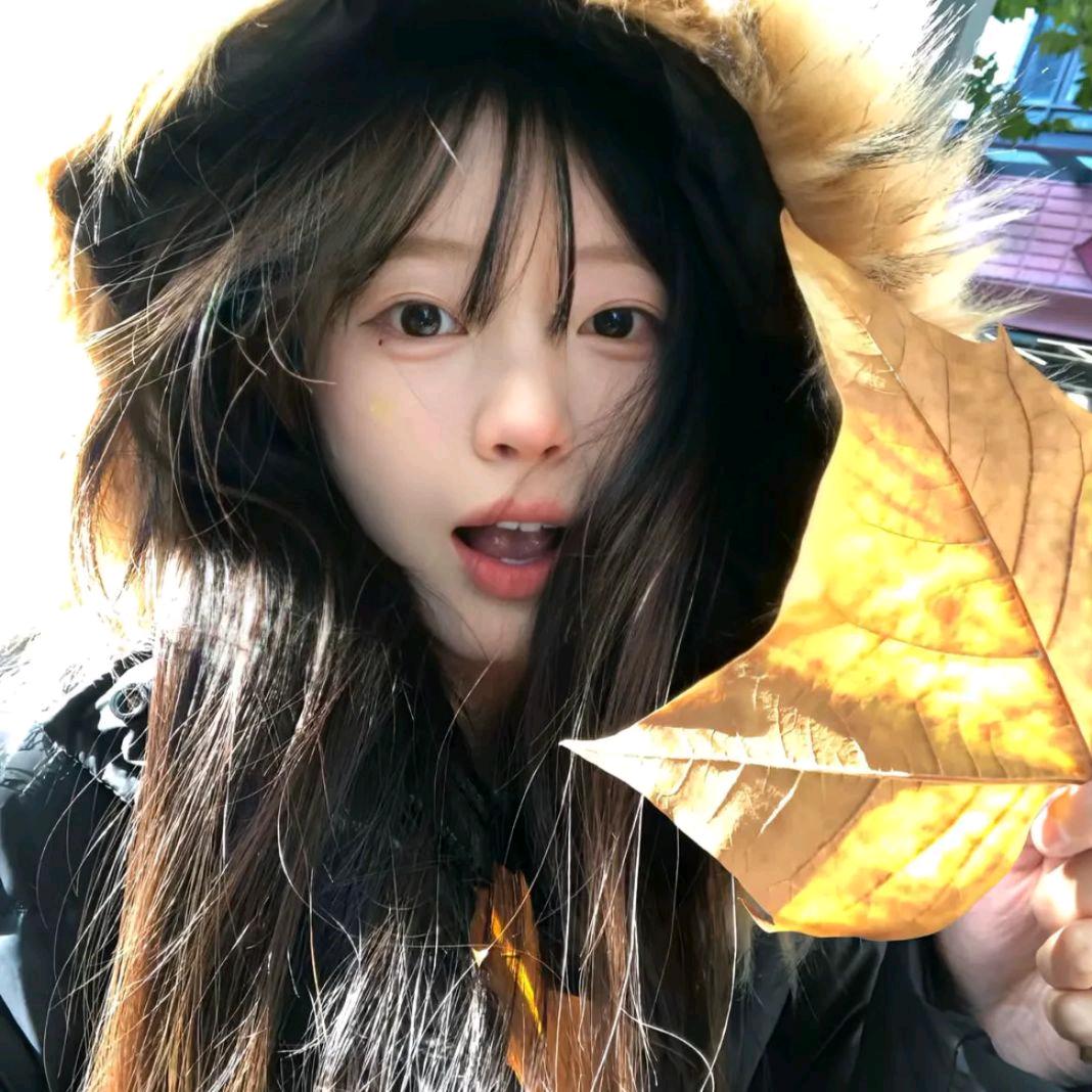 尼古拉斯·张三