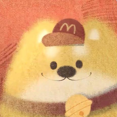 🐾凌岚是只狐🐾