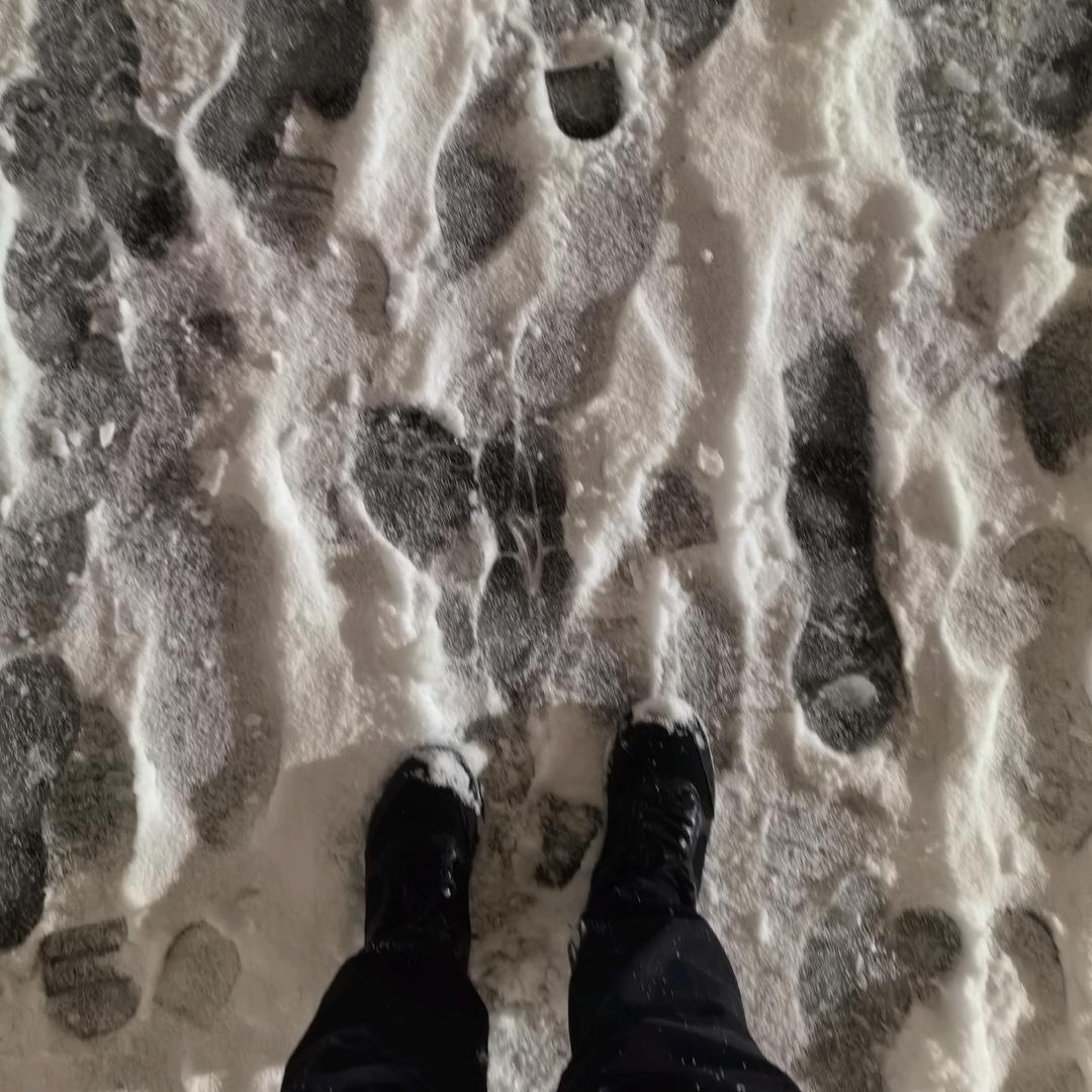雪雪雪雪雪