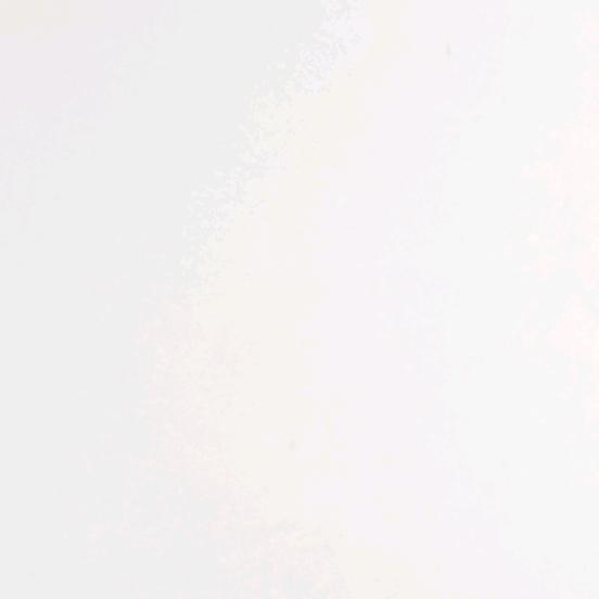 空白