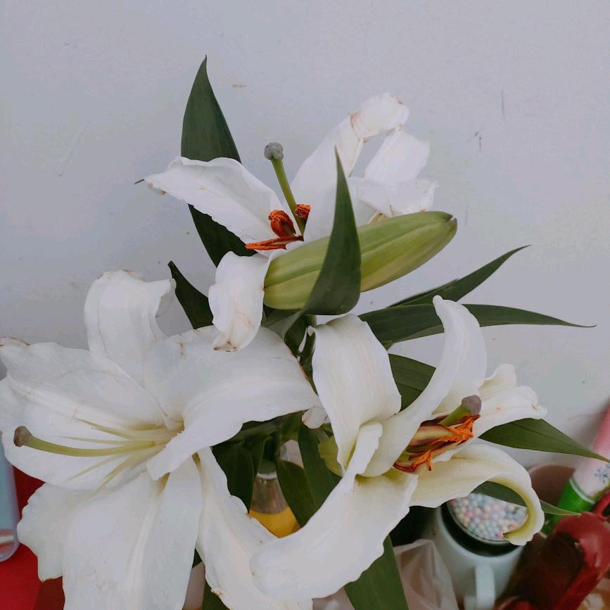 ღ᭄随遇而安💞᭄