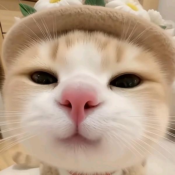 神秘的东方力量