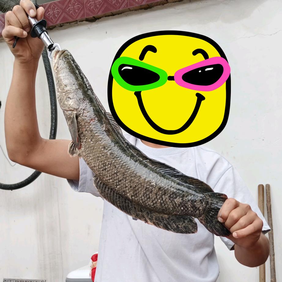 十三帝（朱冉茵）