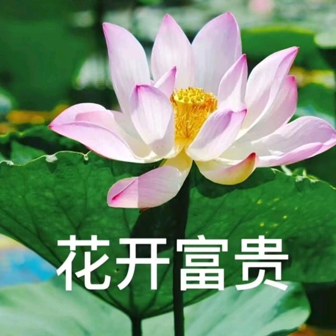 用户9268182212557