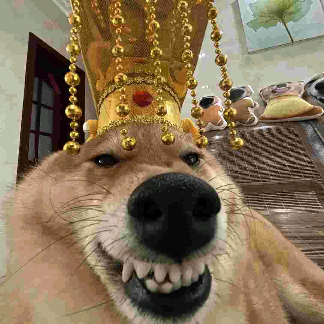 ？