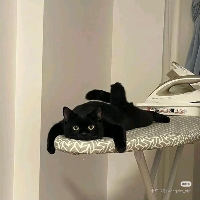 ᅠㅤ