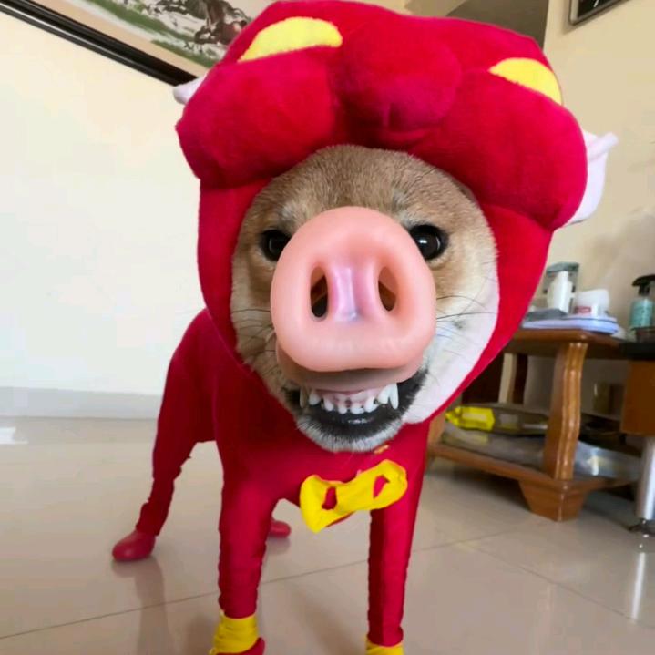 辜翮