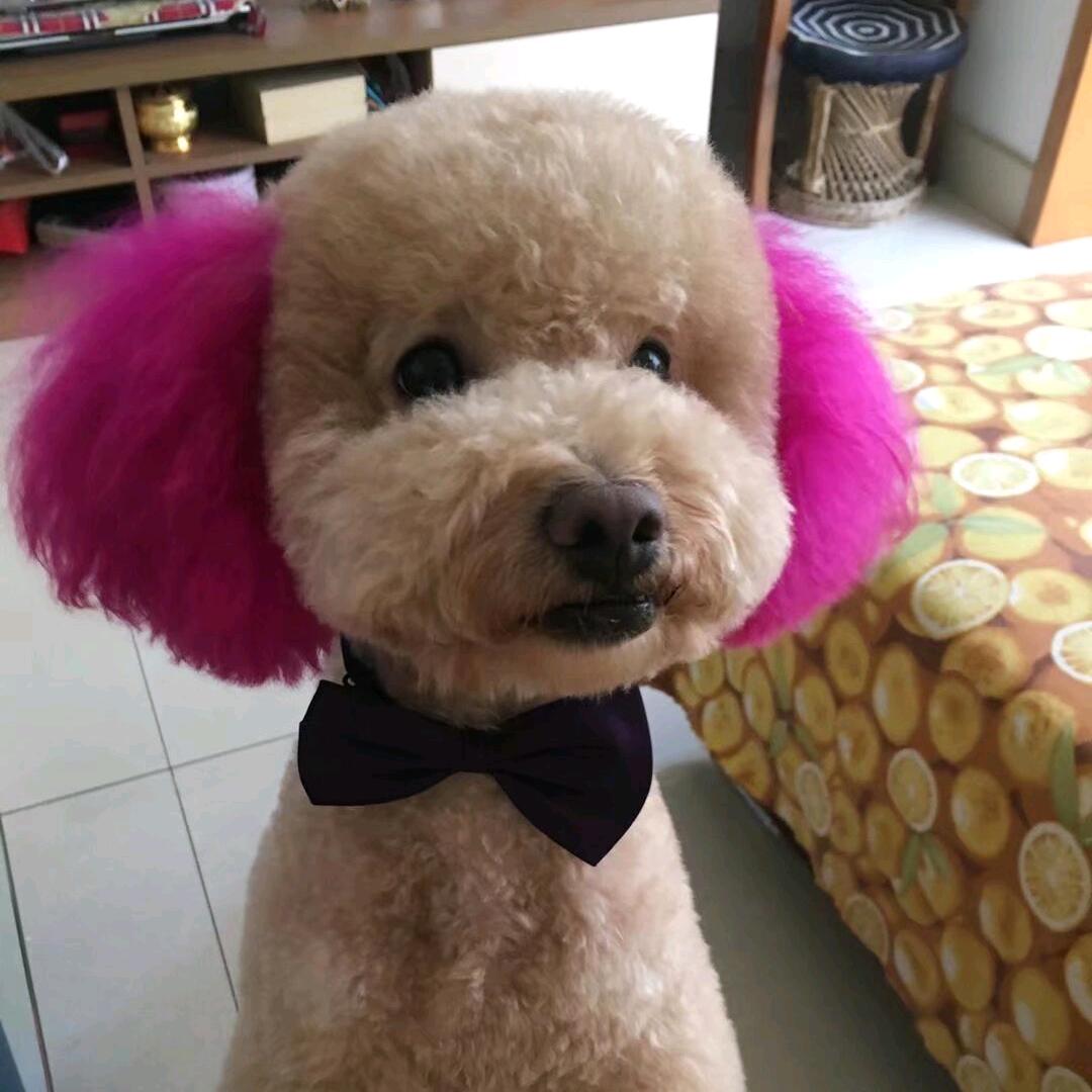 妙涵
