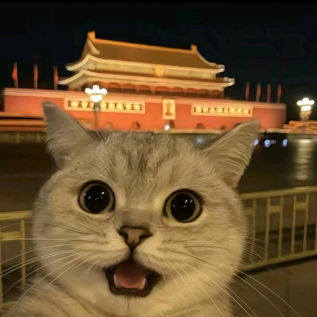 大北汪披萨研究所（摆摊中）🍕