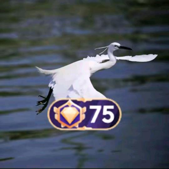 苏神（75级大哥）