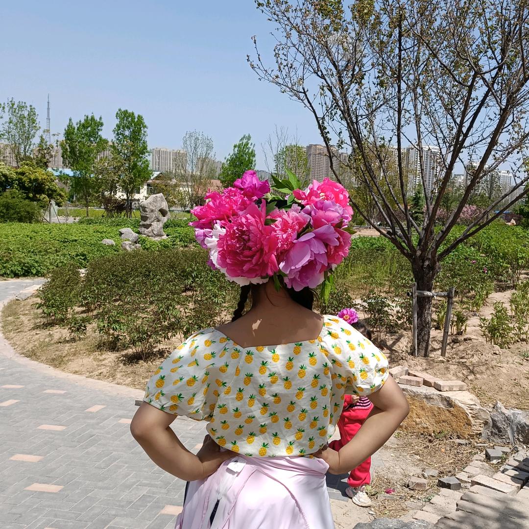 张小鱼