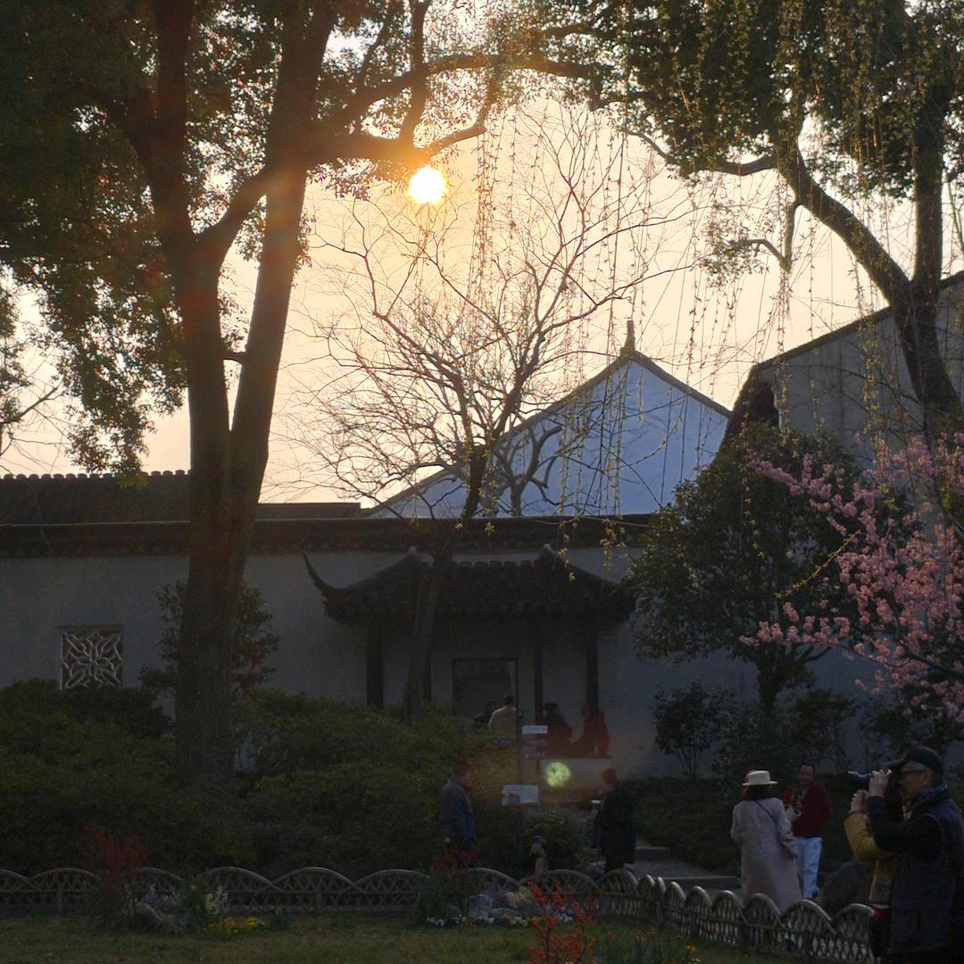 又菜又爱玩