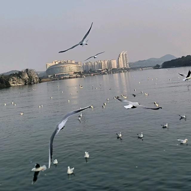 逝水流年