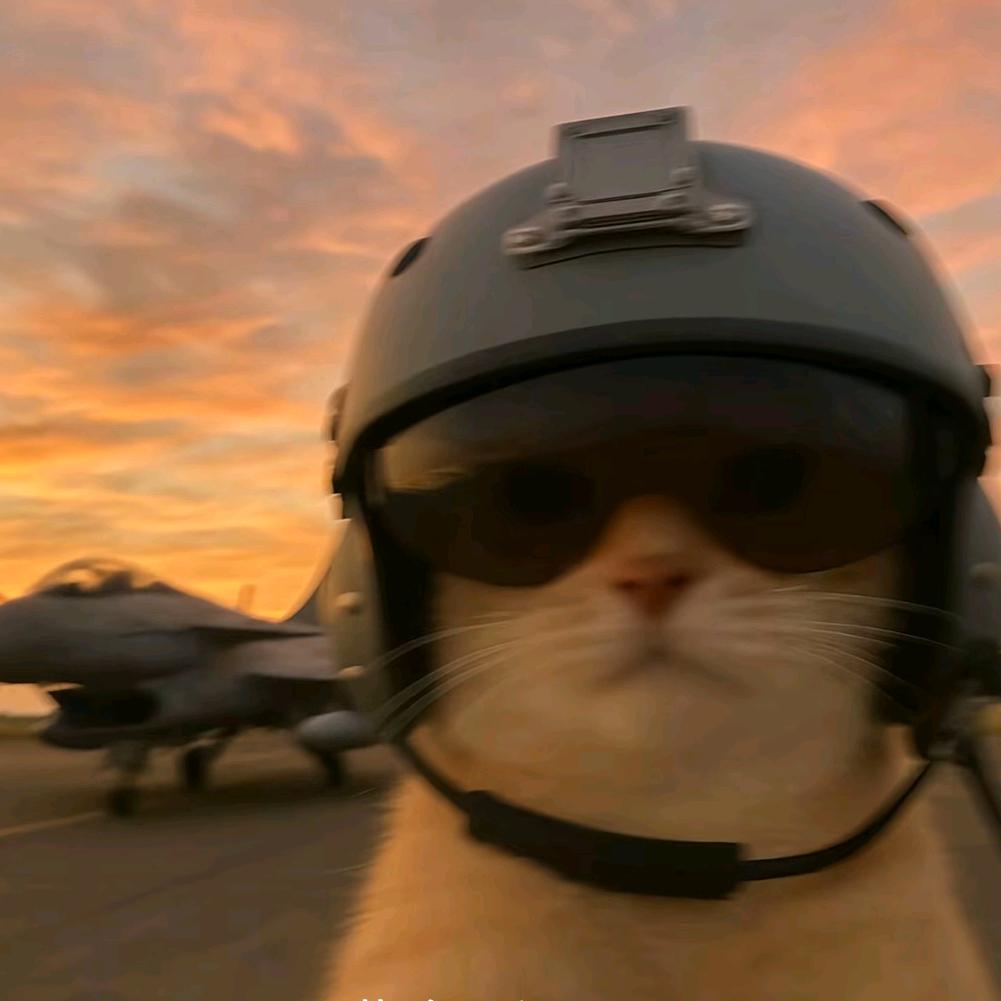 老于佛鳄(专注白佛)