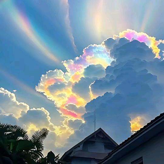 无爱一身轻、单身是精英