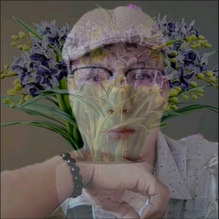 养蜂人   聪哥🌹🌹