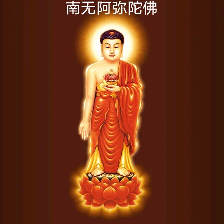 净信