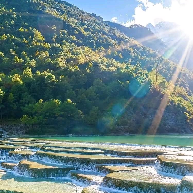 火凤凰