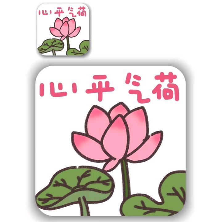清荷映月