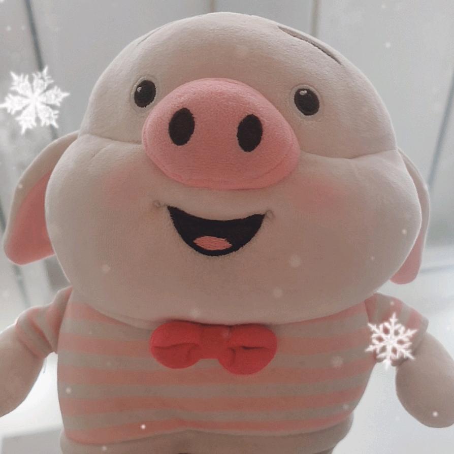 小笨🐷🐷