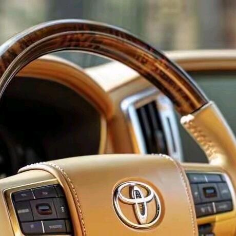 老戚（TOYOTA）