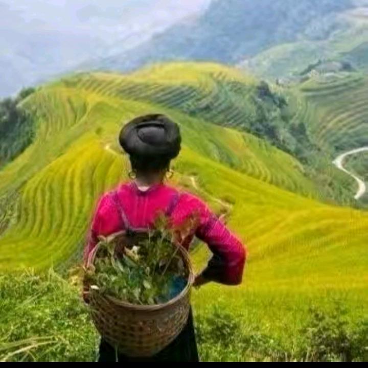 漆漆甄选