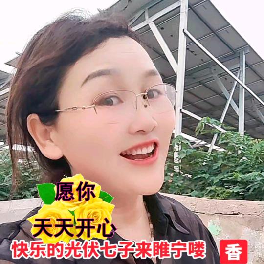 光伏靠谱七子