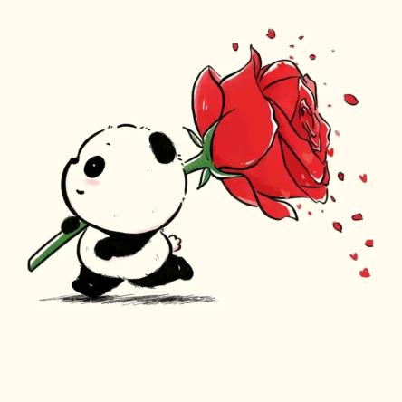 👐小米粒.·°👉❤❤