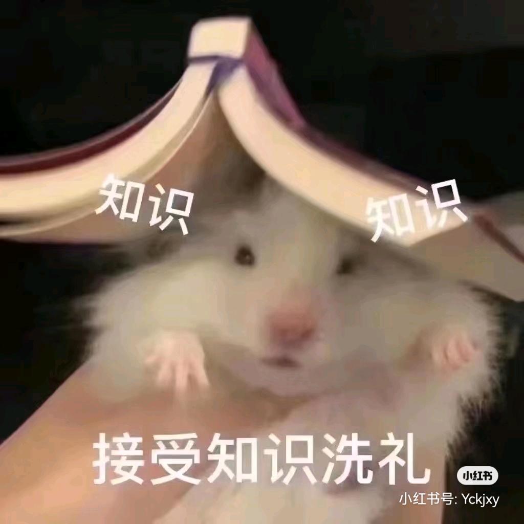 芝aang