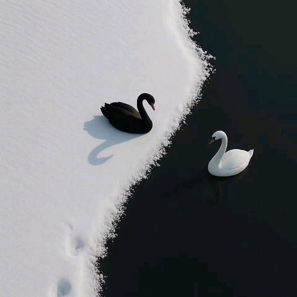 九思（战波传吴式太极）