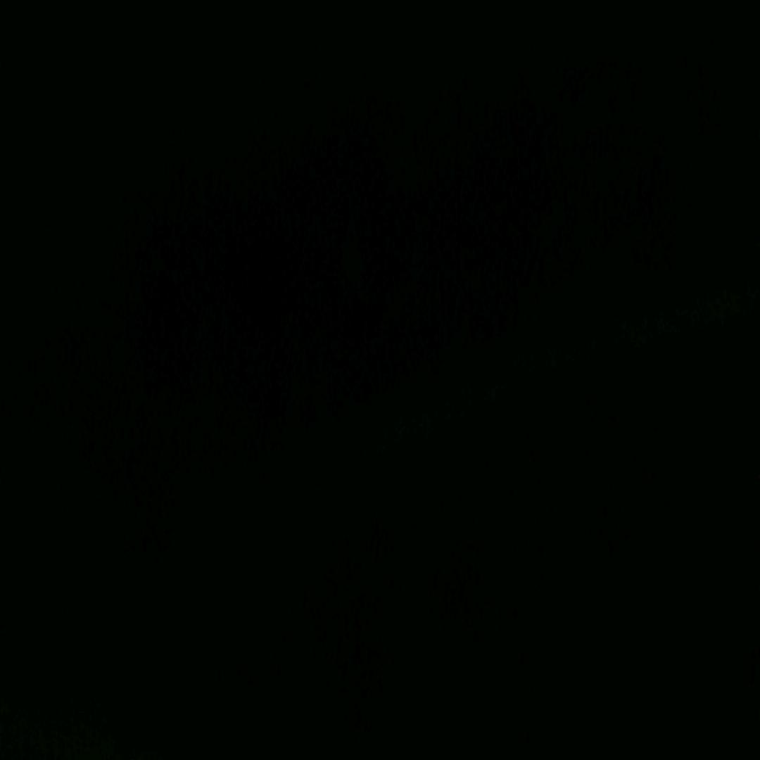 用户7336192161240