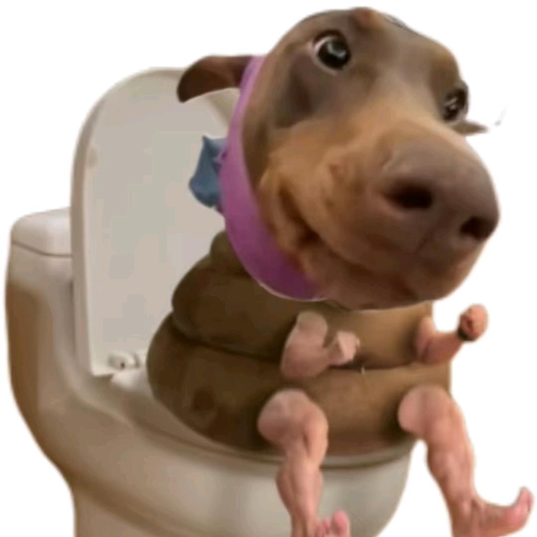 方丈洗头用飘柔