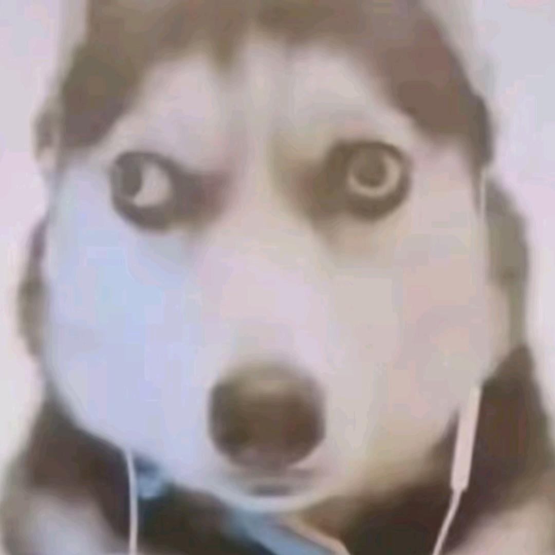 休想虐我头像