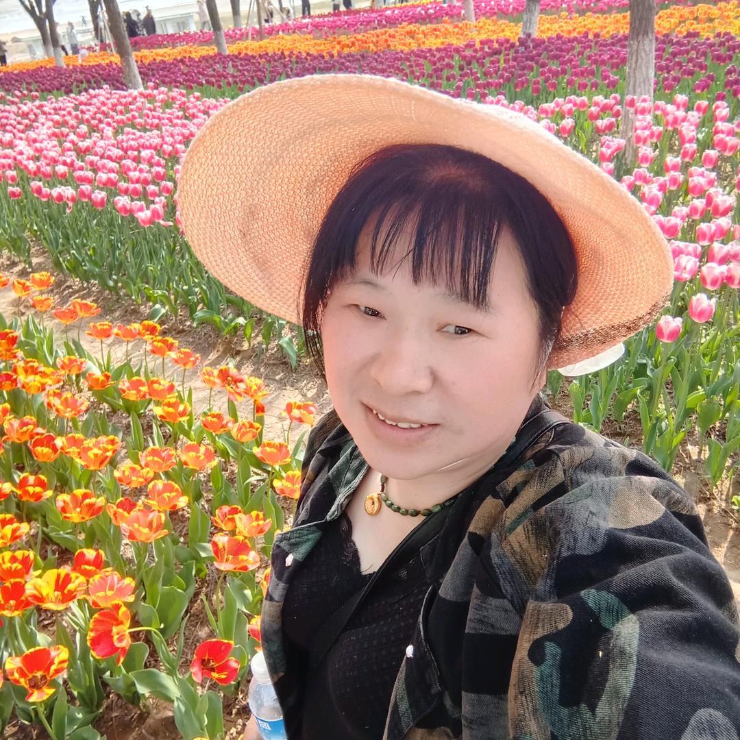 用户一生情缘