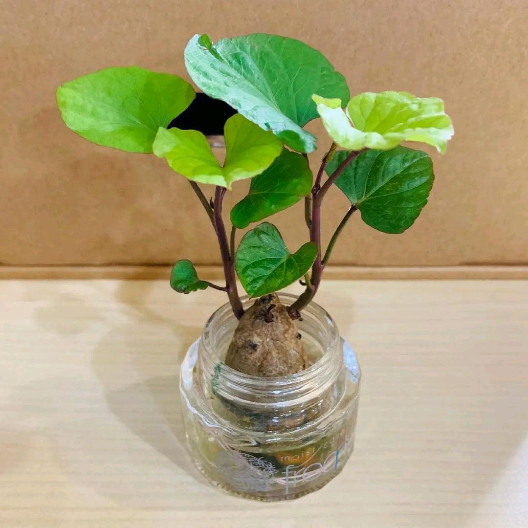 错错